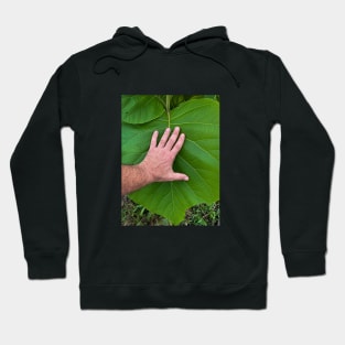 i love nature Hoodie